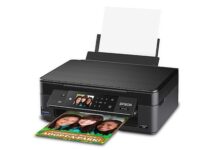 Epson XP 446 Not Printing: Causes & Fixes
